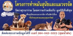 474364750_933858645559497_918646669839412395_n.jpg - เพิ่มวันทำหมันอีกครั้ง โครงการทำหมัน จังหวัดลำปาง ในวันอาทิตย์ที่ 26 มกราคม 2568 | https://www.santisookdogandcat.org