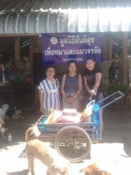 533682442_1083156977296329_5147002574320527976_n.jpg - ทุกการให้..ยิ่งใหญ่เสมอ  ขอบพระคุณทุกความเมตตา  “ยิ่งทำยิ่งได้ ยิ่งให้ ยิ่งมี” การให้มีความสุขมากกว่ | https://www.santisookdogandcat.org