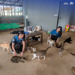 539759083_1096934799251880_7785872904428463343_n.jpg - ฟอร์ด อเมริกันมอเตอร์ เชียงใหม่ ทำด้วยใจ! ให้น้องๆสี่ขา | https://www.santisookdogandcat.org
