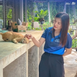 541345127_1096934689251891_8521709979336475493_n.jpg - ฟอร์ด อเมริกันมอเตอร์ เชียงใหม่ ทำด้วยใจ! ให้น้องๆสี่ขา | https://www.santisookdogandcat.org