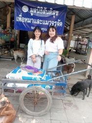 541049203_1096938849251475_651400700774516012_n.jpg - ทุกการให้..ยิ่งใหญ่เสมอ ขอบพระคุณทุกความเมตตา ยิ่งทำยิ่งได้ “ยิ่งให้ ยิ่งมี” การให้มีความสุขมากกว่าร | https://www.santisookdogandcat.org