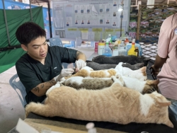 547354622_1112865350992158_736308012520032994_n.jpg - โครงการทำหมัน+ฉีดพิษสุนัขบ้า เทศบาลตำบลแม่วาง เชียงใหม่ จำนวน 115 ตัวเสร็จสิ้นลง ส่วนมากเป็นสุนัขตลา | https://www.santisookdogandcat.org