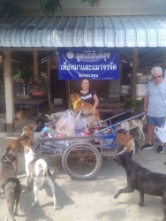 549324225_1113238034288223_7829480876410035327_n.jpg - ทุกการให้..ยิ่งใหญ่เสมอ ขอบพระคุณทุกความเมตตา ยิ่งทำยิ่งได้ “ยิ่งให้ ยิ่งมี การให้มีความสุขมากกว่ารั | https://www.santisookdogandcat.org