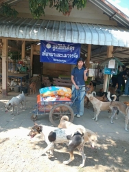 549717945_1113236287621731_3736126925397450130_n.jpg - ทุกการให้..ยิ่งใหญ่เสมอ ขอบพระคุณทุกความเมตตา ยิ่งทำยิ่งได้ “ยิ่งให้ ยิ่งมี การให้มีความสุขมากกว่ารั | https://www.santisookdogandcat.org