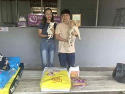 550675113_1113237997621560_1803702766704878479_n.jpg - ทุกการให้..ยิ่งใหญ่เสมอ ขอบพระคุณทุกความเมตตา ยิ่งทำยิ่งได้ “ยิ่งให้ ยิ่งมี การให้มีความสุขมากกว่ารั | https://www.santisookdogandcat.org