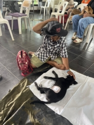 554750556_1116613110617382_4676968837592786205_n.jpg - เสร็จสิ้นโครงการทำหมัน ฉีดวัคซีนพิษสุนัขบ้า มูลนิธิสันติสุขเพื่อสุนัขและแมวจรจัดร่วมกับเทศบาลตำบลเกา | https://www.santisookdogandcat.org