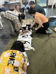 555559214_1116612903950736_4608173708704418343_n.jpg - เสร็จสิ้นโครงการทำหมัน ฉีดวัคซีนพิษสุนัขบ้า มูลนิธิสันติสุขเพื่อสุนัขและแมวจรจัดร่วมกับเทศบาลตำบลเกา | https://www.santisookdogandcat.org