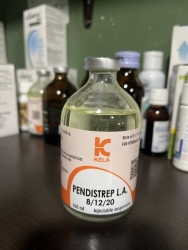 557838107_1121623690116324_8702579076756976092_n.jpg - รับบริจาคเวชภัณฑ์ ✅ ทางมูลนิธิสันติสุขเพื่อสุนัขและแมวจรจัด ขอรับบริจาคเวชภัณฑ์ยา อุปกรณ์ที่จำเป็นแล | https://www.santisookdogandcat.org