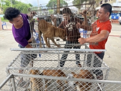559648723_1137442315201128_142553829654666166_n.jpg - โครงการ Trap, Spay/Neuter, and Return โดย: มูลนิธิสันติสุขเพื่อสุนัขและแมวจรจัด ✅   | https://www.santisookdogandcat.org