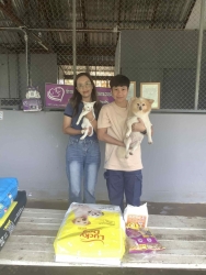 566237168_1137674955177864_7798597661026094459_n.jpg - ทุกการให้..ยิ่งใหญ่เสมอ ขอบพระคุณทุกความเมตตา. ยิ่งทำยิ่งได้ “ยิ่งให้ ยิ่งมี”  การให้มีความสุขมากกว่ | https://www.santisookdogandcat.org