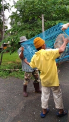 583924220_1161740472771312_8290286458519884881_n.jpg - ความผูกพันระหว่างเจ้าของและสุนัข เมื่อทางมูลนิธิไปรับสุนัขของคุณลุงไปทำหมันให้และนัดส่งกลับ คุณลุงโท | https://www.santisookdogandcat.org