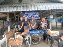 585086990_1163264559285570_5405285461409043178_n.jpg - ทุกการให้..ยิ่งใหญ่เสมอ ขอบพระคุณทุกความเมตตา “ยิ่งทำยิ่งได้ ยิ่งให้ ยิ่งมี” การให้มีความสุขมากกว่าร | https://www.santisookdogandcat.org