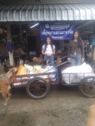 593272062_1176785004600192_4177018322893236898_n.jpg - ทุกการให้..ยิ่งใหญ่เสมอ ขอบพระคุณทุกท่าน“ทุกความเมตตายิ่งทำยิ่งได้“ยิ่งให้ ยิ่งมีการให้มีความสุขมากก | https://www.santisookdogandcat.org