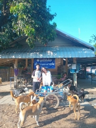 596820389_1181207840824575_1068091725000023904_n.jpg - ทุกการให้..ยิ่งใหญ่เสมอ ขอบพระคุณทุกความเมตตา “ยิ่งทำยิ่งได้ ยิ่งให้ ยิ่งมี” การให้มีความสุขมากกว่าร | https://www.santisookdogandcat.org