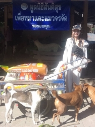 599942298_1181207580824601_2228182558643638635_n.jpg - ทุกการให้..ยิ่งใหญ่เสมอ ขอบพระคุณทุกความเมตตา “ยิ่งทำยิ่งได้ ยิ่งให้ ยิ่งมี” การให้มีความสุขมากกว่าร | https://www.santisookdogandcat.org