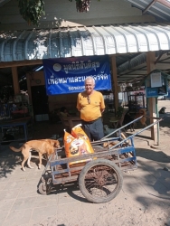 605168242_1193083606303665_8049984622317541520_n.jpg - ทุกการให้..ยิ่งใหญ่เสมอ ขอบพระคุณทุกท่าน ทุกความเมตตายิ่งทำยิ่งได้ ยิ่งให้ ยิ่งมีการให้มีความสุขมากก | https://www.santisookdogandcat.org