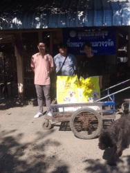 607425209_1193083559637003_4885186700321092245_n.jpg - ทุกการให้..ยิ่งใหญ่เสมอ ขอบพระคุณทุกท่าน ทุกความเมตตายิ่งทำยิ่งได้ ยิ่งให้ ยิ่งมีการให้มีความสุขมากก | https://www.santisookdogandcat.org