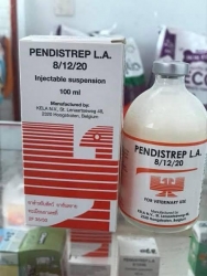 611287739_1199080015704024_7934151961558519265_n.jpg - การให้ที่ดีที่สุด..คือให้ชีวิตใหม่ ขอรับบริจาคเวชภัณฑ์ยา เวชภัณฑ์อุปกรณ์ ที่เป็นสิ่งสำคัญอีกอย่างที่ | https://www.santisookdogandcat.org