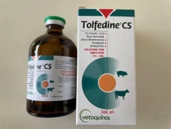 612425130_1199079999037359_918554314540669607_n.jpg - การให้ที่ดีที่สุด..คือให้ชีวิตใหม่ ขอรับบริจาคเวชภัณฑ์ยา เวชภัณฑ์อุปกรณ์ ที่เป็นสิ่งสำคัญอีกอย่างที่ | https://www.santisookdogandcat.org