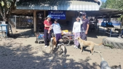 622350010_1217254570553235_1180042397433036413_n.jpg - ทุกการให้..ยิ่งใหญ่เสมอ  ขอบพระคุณทุกท่าน“ทุกความเมตตายิ่งทำยิ่งได้“ยิ่งให้ ยิ่งมีการให้มีความสุขมาก | https://www.santisookdogandcat.org