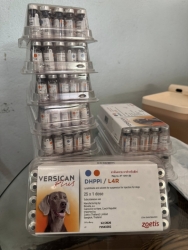 651226476_1254804630131562_6442497260109306785_n.jpg - รัก ฉีดวัคซีน ป้องกันโรคให้กับสัตว์เลี้ยงกัน รักอย่างเดียวไม่พอ  ความรับผิดชอบต่อสัตว์ | https://www.santisookdogandcat.org