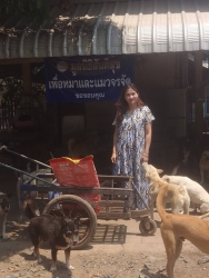 672007114_1283628437249181_9161619937507128306_n.jpg - ทุกการให้..ยิ่งใหญ่เสมอ  ขอบพระคุณทุกท่าน“ทุกความเมตตายิ่งทำยิ่งได้“ยิ่งให้ ยิ่งมีการให้มีความสุขมาก | https://www.santisookdogandcat.org
