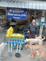 673446907_1283624443916247_1200019618534425054_n.jpg - ทุกการให้..ยิ่งใหญ่เสมอ  ขอบพระคุณทุกท่าน“ทุกความเมตตายิ่งทำยิ่งได้“ยิ่งให้ ยิ่งมีการให้มีความสุขมาก | https://www.santisookdogandcat.org