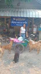 675444741_1283625673916124_2817274207282575768_n.jpg - ทุกการให้..ยิ่งใหญ่เสมอ  ขอบพระคุณทุกท่าน“ทุกความเมตตายิ่งทำยิ่งได้“ยิ่งให้ ยิ่งมีการให้มีความสุขมาก | https://www.santisookdogandcat.org