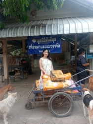680976701_1290919719853386_2284127133552546525_n.jpg - ทุกการให้..ยิ่งใหญ่เสมอ ขอบพระคุณทุกท่าน “ทุกความเมตตายิ่งทำยิ่งได้“ ยิ่งให้ ยิ่งมีการให้มีความสุขมา | https://www.santisookdogandcat.org