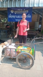 681831671_1290919753186716_953853732388134190_n.jpg - ทุกการให้..ยิ่งใหญ่เสมอ ขอบพระคุณทุกท่าน “ทุกความเมตตายิ่งทำยิ่งได้“ ยิ่งให้ ยิ่งมีการให้มีความสุขมา | https://www.santisookdogandcat.org