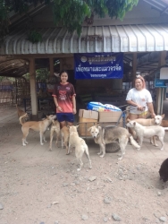699442798_1308265398118818_2709458193221587990_n.jpg - ทุกการให้..ยิ่งใหญ่เสมอ | https://www.santisookdogandcat.org