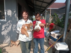742011812_1353630136915677_6869363230694442310_n.jpg - หาบ้านใหม่ให้ เราก็ทำ | https://www.santisookdogandcat.org