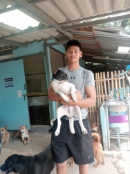 742903148_1353630093582348_6631672408784507924_n.jpg - หาบ้านใหม่ให้ เราก็ทำ | https://www.santisookdogandcat.org