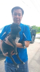 743327024_1353630120249012_154258666862394306_n.jpg - หาบ้านใหม่ให้ เราก็ทำ | https://www.santisookdogandcat.org