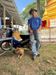 741948246_1353604063584951_1427468598333863631_n.jpg - ทำหมันเสร็จลง จำนวน 104 ตัว อำเภอปาย จังหวัดแม่ฮ่องสอน | https://www.santisookdogandcat.org