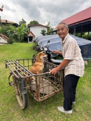 743034564_1353604006918290_8450590281894408513_n.jpg - ทำหมันเสร็จลง จำนวน 104 ตัว อำเภอปาย จังหวัดแม่ฮ่องสอน | https://www.santisookdogandcat.org