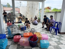 724745055_1332070172405007_2099748666373700300_n.jpg - ดีที่สุด..หยุดที่ทำหมัน โครงการทำหมันเพื่อหยุดการขยายพันธุ์ | https://www.santisookdogandcat.org