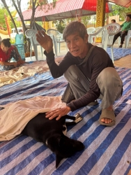 731787728_1342503814694976_5536680569205633488_n.jpg - เสร็จสิ้น โครงการทำหมัน วัดเกาะคา จังหวัดลำปาง จำนวน 228 ตัว | https://www.santisookdogandcat.org