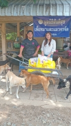 731835041_1342997331312291_3308985582887360200_n.jpg - ทุกการให้..ยิ่งใหญ่เสมอ ขอบพระคุณทุกท่าน ทุกความเมตตายิ่งทำยิ่งได้ | https://www.santisookdogandcat.org