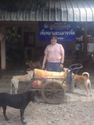 755809561_1366475592297798_3318189692727680754_n.jpg - ทุกการให้..ยิ่งใหญ่เสมอ ขอบพระคุณทุกท่าน ทุกความเมตตายิ่งทำยิ่งได้ | https://www.santisookdogandcat.org