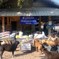 761530246_1372003518411672_316370299247632024_n.jpg - ขอบคุณ Dr. Tony Lee & Community ร่วมบริจาคสิ่งของและเงิน 4,900 บาท | https://www.santisookdogandcat.org