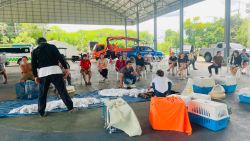 20261007085819.jpg - ทำหมันสุนัขและแมว อบต.น้ำบ่อหลวง สันป่าตอง จำนวน 95 ตัว | https://www.santisookdogandcat.org