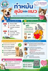 20261007105359.jpg - ประชาสัมพันธ์ โครงการทำหมันสุนัขและแมว บ้านดง อำเภอแม่เมาะ จังหวัดลำปาง 5-6 ก.ย. 69 | https://www.santisookdogandcat.org