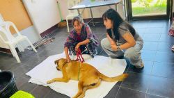 20261007105418.jpg - โครงการทำหมันสุนัขและแมว เทศบาลเกาะคาแม่ยาว อำเภอเกาะคา ลำปาง ร่วมกับเทศบาลเป็นครั้งที่สอง | https://www.santisookdogandcat.org