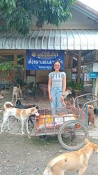 20261007111030.jpg - ทุกการให้..ยิ่งใหญ่เสมอ ขอบพระคุณผู้ใจบุญที่ร่วมบริจาคอาหารและสิ่งของ (2 ก.ย. 69 ชุดที่ 3) | https://www.santisookdogandcat.org