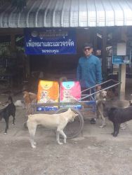 20261007111034.jpg - ทุกการให้..ยิ่งใหญ่เสมอ ขอบพระคุณผู้ใจบุญที่ร่วมบริจาคอาหารและสิ่งของ (4 ก.ย. 69 ชุดที่ 1) | https://www.santisookdogandcat.org