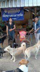 20261007111037.jpg - ทุกการให้..ยิ่งใหญ่เสมอ ขอบพระคุณผู้ใจบุญที่ร่วมบริจาคอาหารและสิ่งของ (4 ก.ย. 69 ชุดที่ 1) | https://www.santisookdogandcat.org