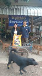 20261007111051.jpg - ทุกการให้..ยิ่งใหญ่เสมอ ขอบพระคุณผู้ใจบุญที่ร่วมบริจาคอาหารและสิ่งของ (4 ก.ย. 69 ชุดที่ 3) | https://www.santisookdogandcat.org