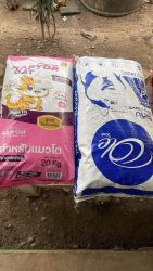 20261007112916.jpg - ทุกการให้..ยิ่งใหญ่เสมอ ขอบพระคุณผู้ใจบุญที่ร่วมบริจาคอาหารและสิ่งของ (4 ก.ย. 69 ชุดที่ 4) | https://www.santisookdogandcat.org