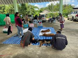 20261007112933.jpg - เสร็จสิ้น โครงการทำหมันสุนัขและแมว ตำบลบ้านดง อำเภอแม่เมาะ จังหวัดลำปาง จำนวน 112 ตัว | https://www.santisookdogandcat.org